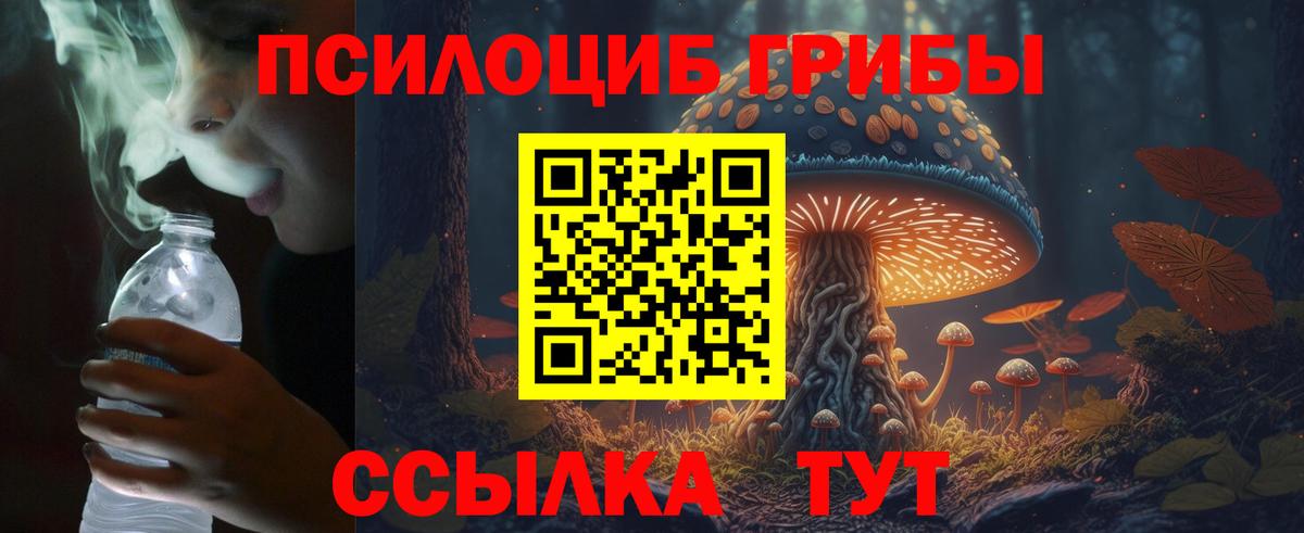 Рославль  Псилоцибиновые грибы Psilocybine cubensis  Вход с VPN  Галлюциногенные грибы мухоморы 